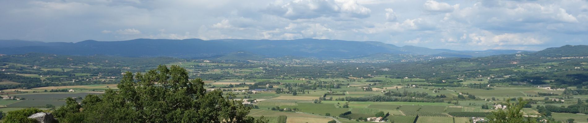 Tocht Elektrische fiets Apt - YApt-Boux-Bonnieux_47-2018-06-20 - Photo