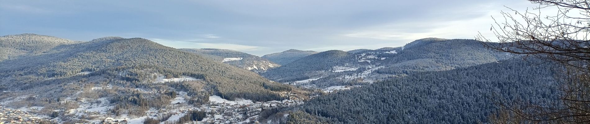 Excursión Senderismo Saulxures-sur-Moselotte - Circuit Baudimont - Photo