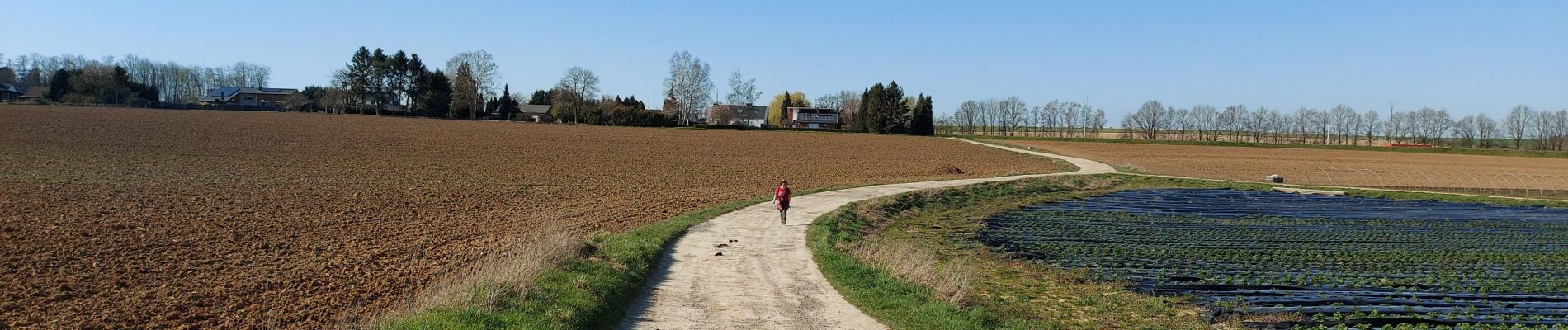 Trail Walking Fleurus - Baulet - Photo