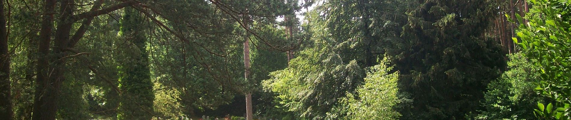 Tour Zu Fuß Rosengarten - Wanderweg KI-WFR - Photo