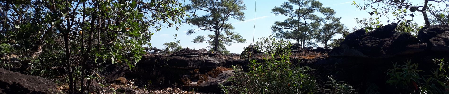 Trail Walking Unknown - Le chemin des Bouddhas  - Photo