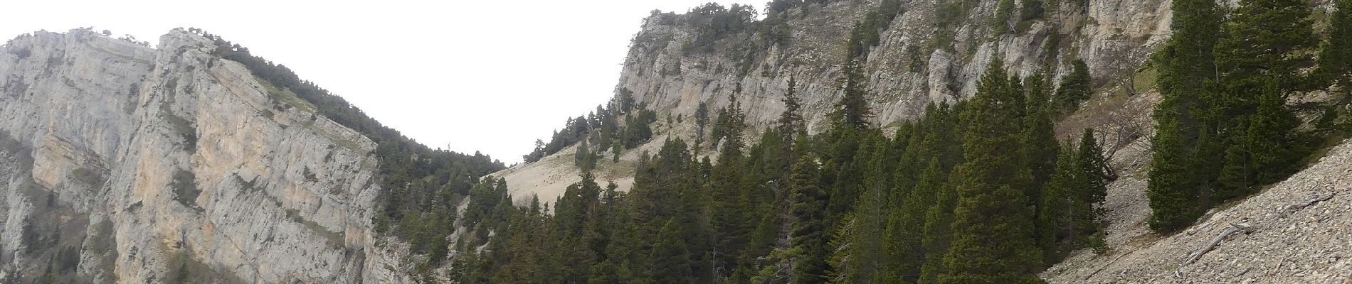 Tour Wandern Romeyer - Col des Bachassons depuis Romeyer - Photo