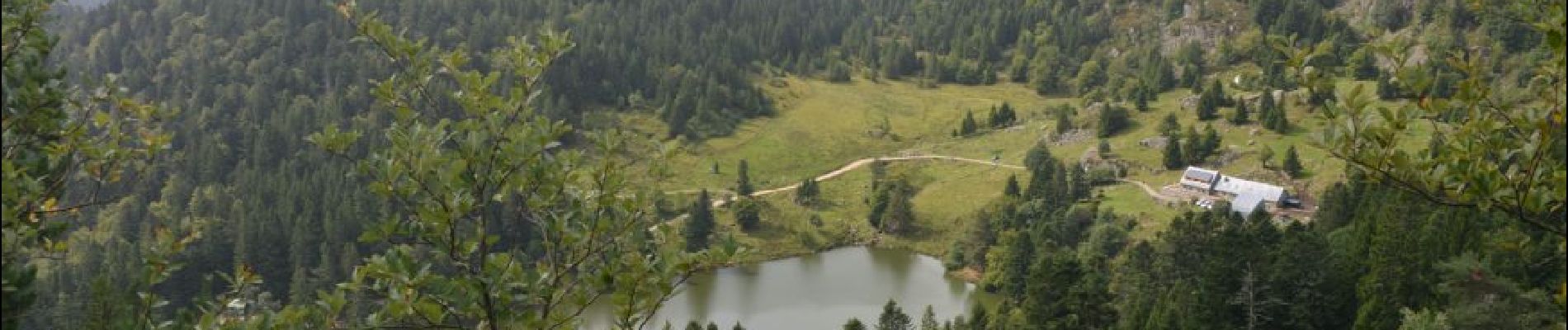 Tocht Stappen Soultzeren - Lac Vert - Lac Forlet Sity - Photo