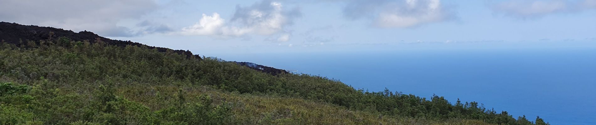 Excursión Senderismo Saint-Philippe - rando coulée éruption 16 08 19 - Photo