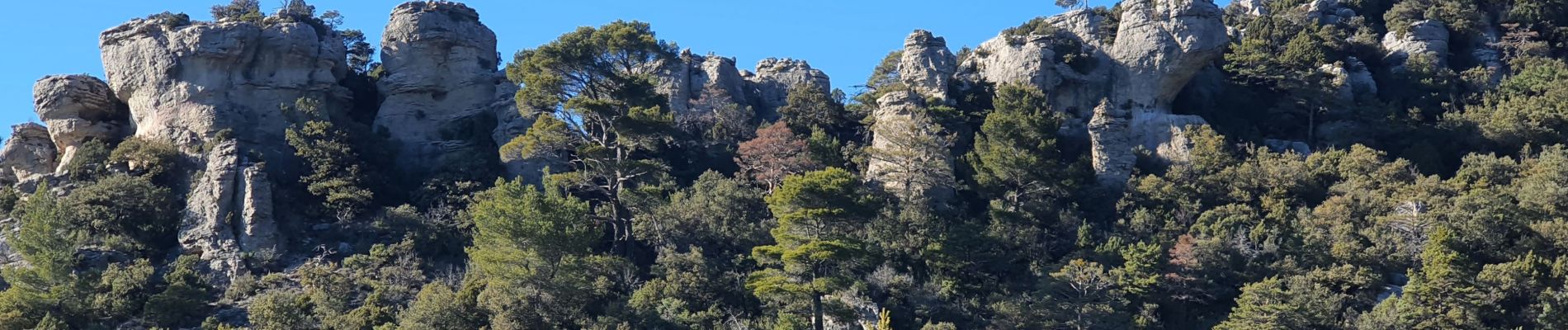 Tour Wandern Aups - 2023-01-31 Col de la Bigue - Les Eyssariades - Photo