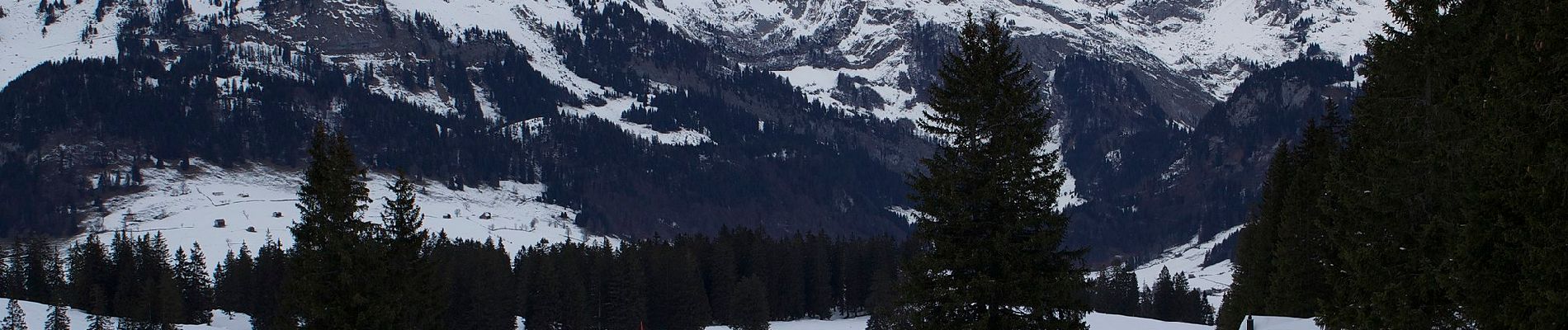 Tour Zu Fuß Wildhaus-Alt St. Johann - Sagenweg - Photo