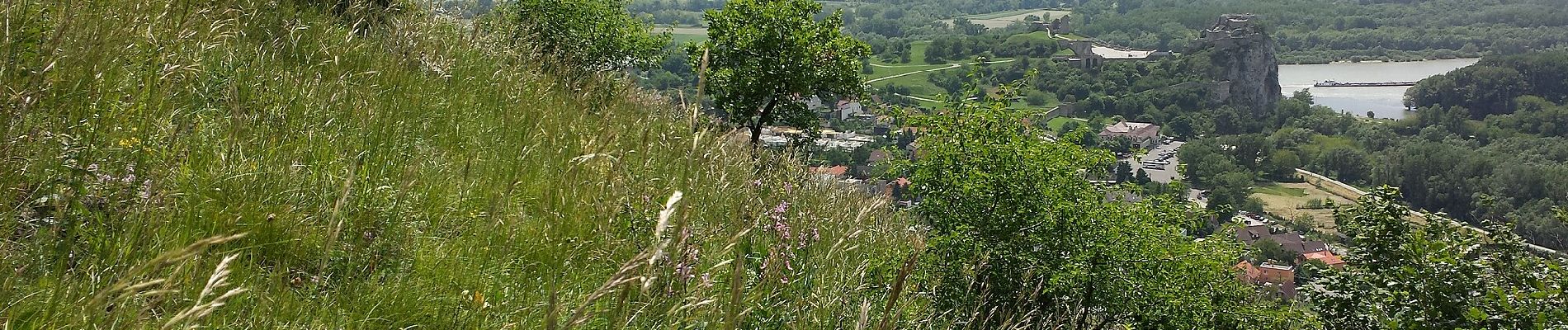 Tour Zu Fuß Bezirk Bratislava IV - Náučný chodník Bratislavské luhy - Photo