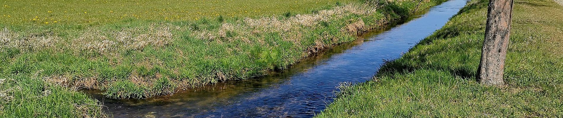 Randonnée A pied Kamenz - Kamjenc - Grüner Balken Großteich - Photo