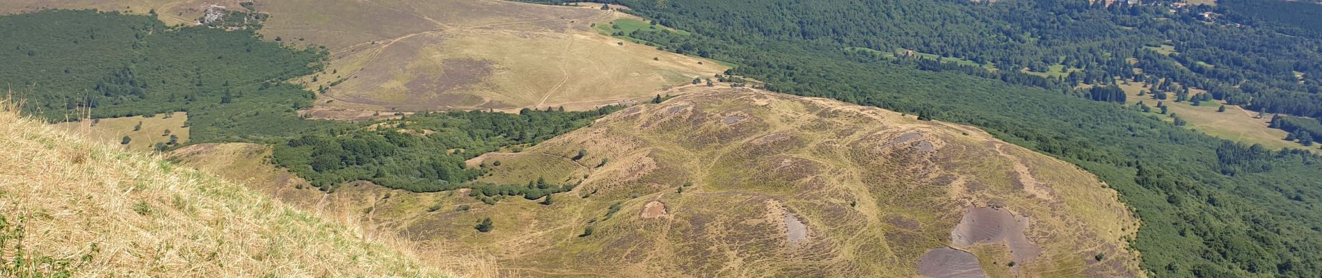 Excursión Senderismo Orcines - Montée au Puy de Dôme par le chemin des Muletiers - Photo