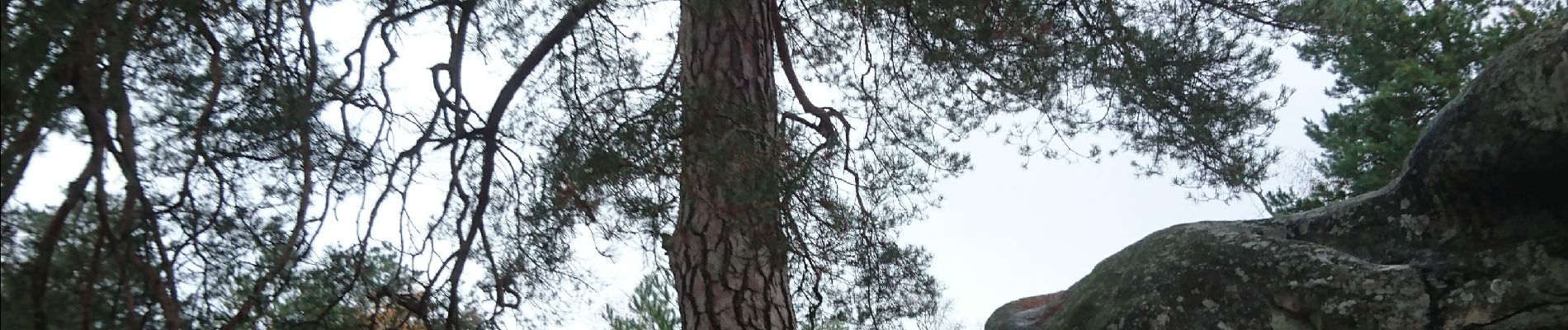 Trail Walking Fontainebleau - I - Photo