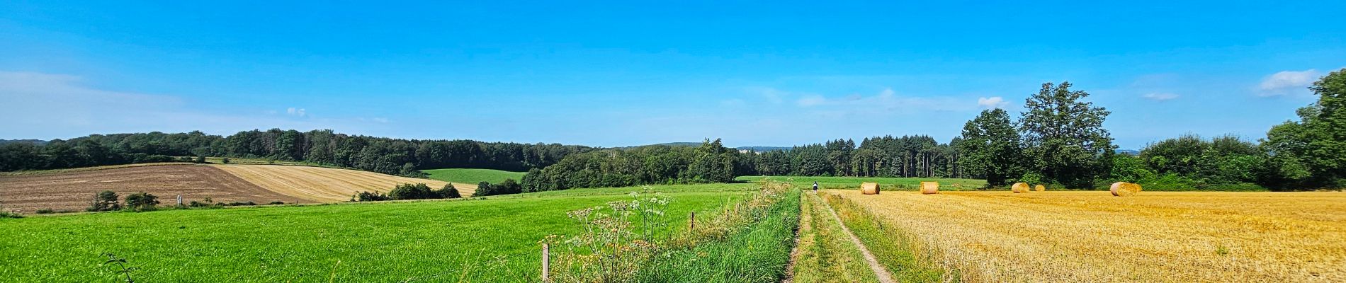 Randonnée Marche Onhaye - Balade de Sommière à Weillen - Photo