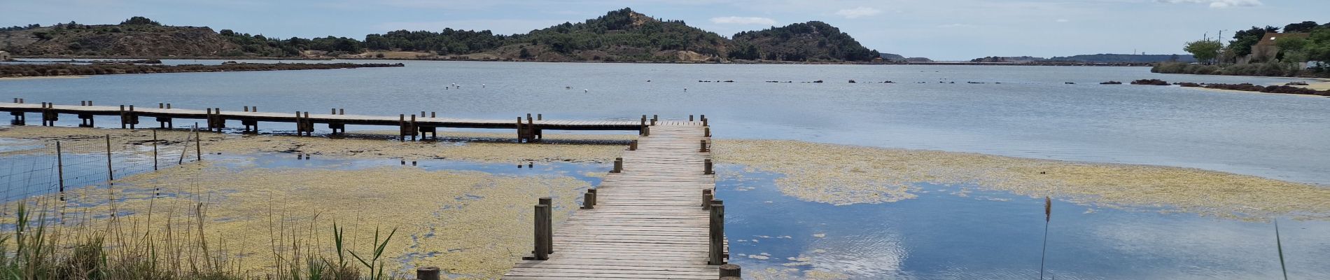 Trail Walking Peyriac-de-Mer - peyriac - Photo