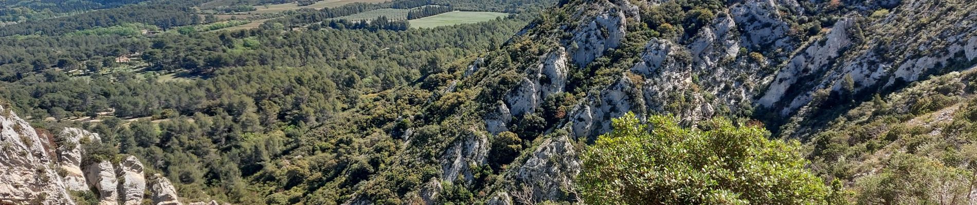 Percorso Marcia Saint-Rémy-de-Provence - les alpilles  arsel - Photo