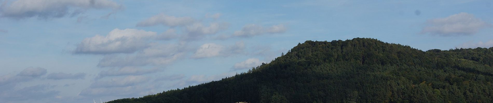 Tocht Te voet Berngau - Berngauer Südschlaufe - Photo