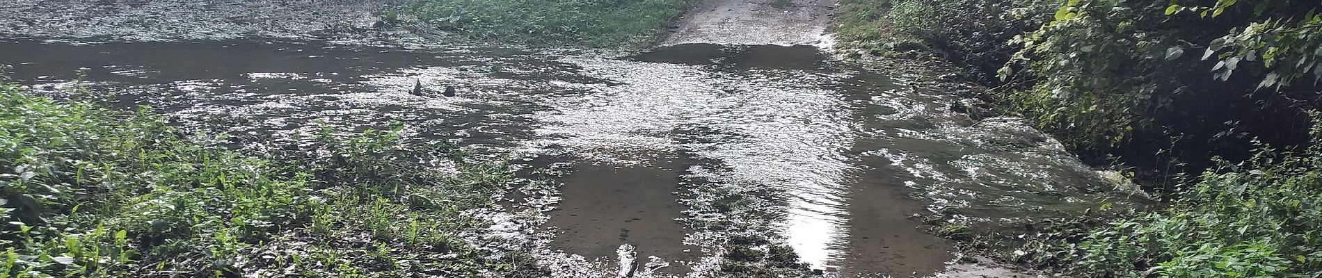 Randonnée A pied Moravský Krumlov - Naučná stezka Krumlovsko-rokytenské slepence - Photo