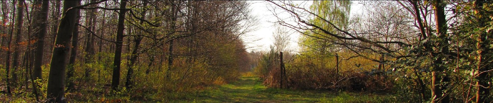 Punto de interés Saint-Étienne-Roilaye - Point 17 - Photo