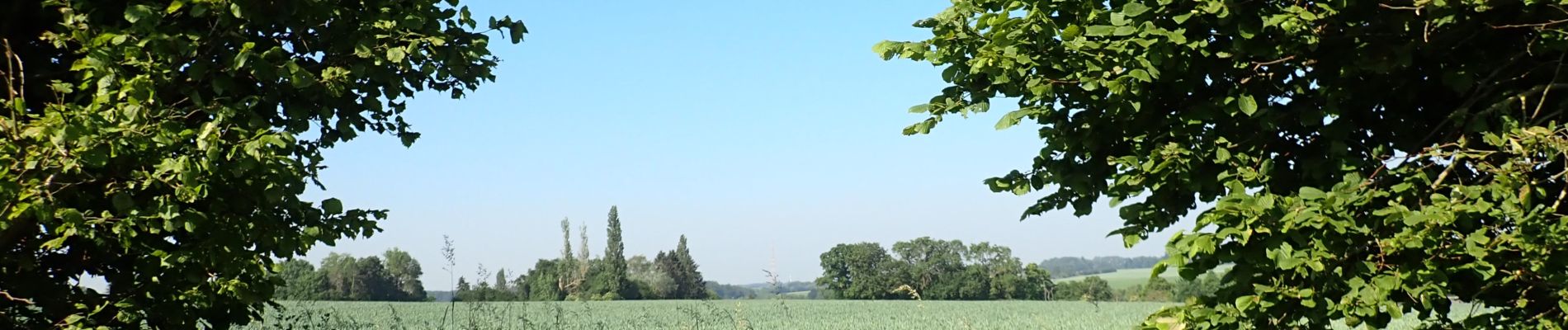 POI Mont-Saint-Guibert - Vue ouest dans le Chemin Tollet - Photo