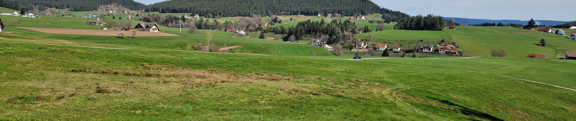 Tocht Stappen Lauterbach - Kappelehof - Photo