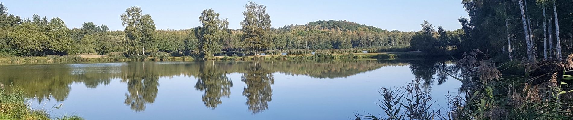 Excursión Senderismo Fère-en-Tardenois - Fère-en-Tardenois du 22-08-2022 - Photo