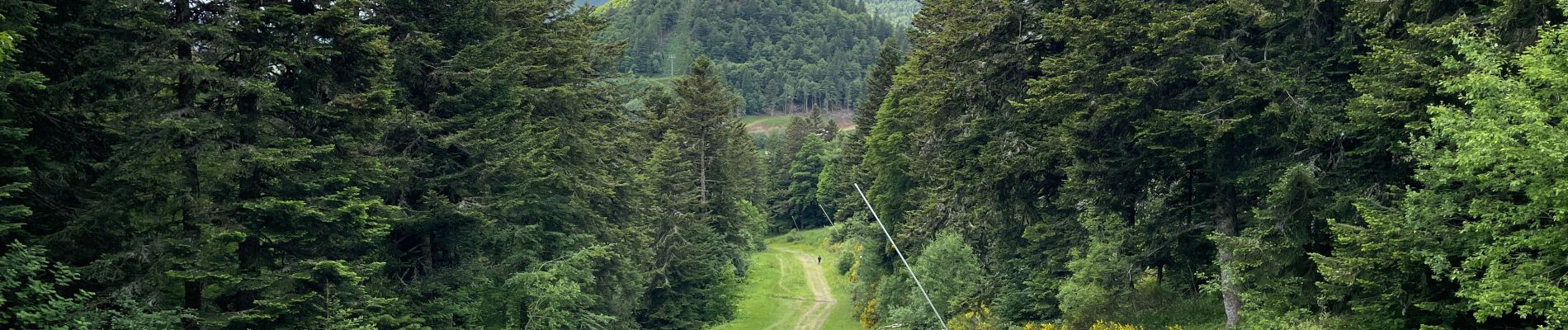 Randonnée Marche Thiézac - Cantal jour 5- Lafon- bufadou - Photo