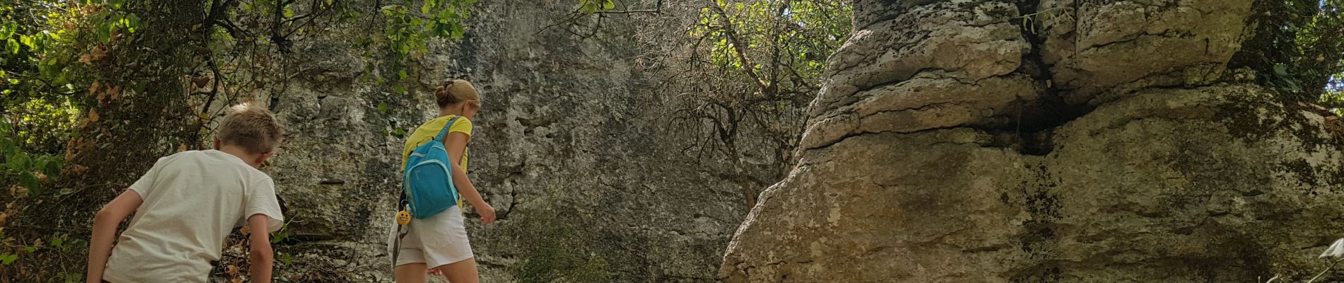 Excursión Senderismo Berrias-et-Casteljau - Wikiloc Bois de Paiolive (PVDB) - Photo