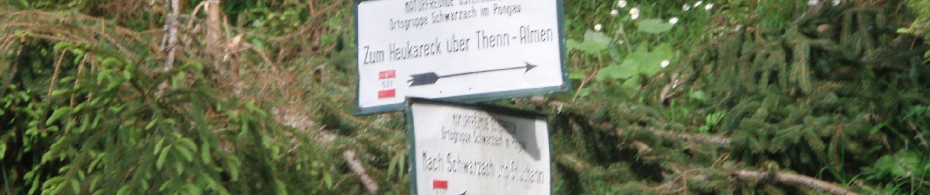 Tour Zu Fuß Sankt Veit im Pongau - Bräualm-Untere Thennalm - Photo