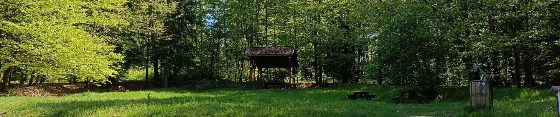 Randonnée Marche Raon-aux-Bois - circuit parcours raon aux bois chalet de bennevise - Photo