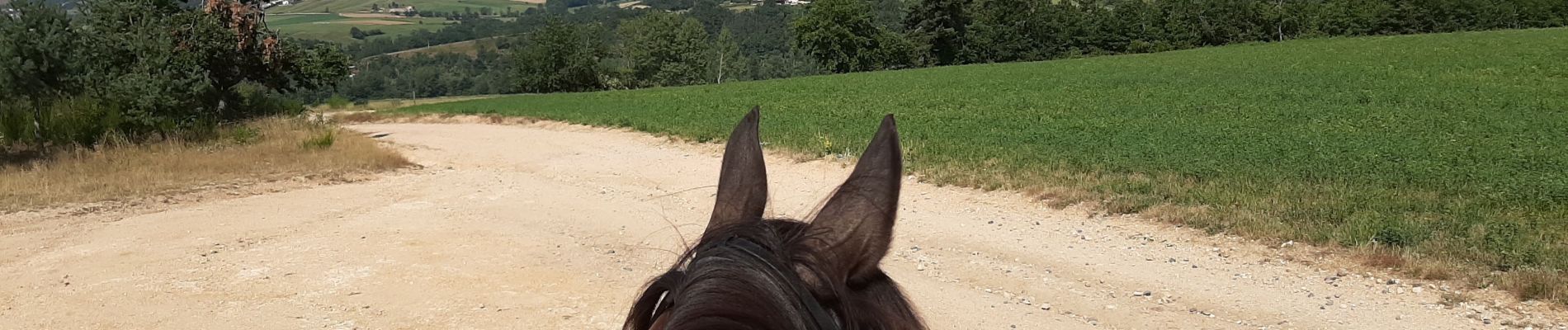 Tocht Paardrijden Pont-Salomon - ecurie de l'aurore _ jusqu'à la Loire - Photo