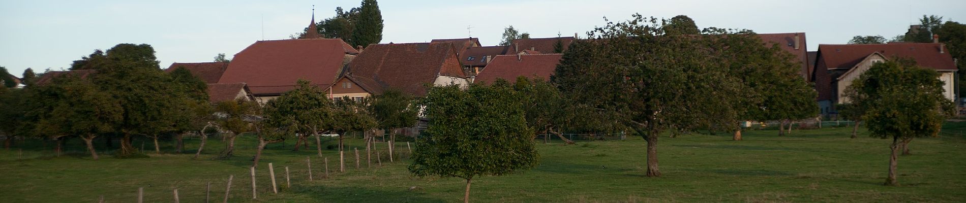 Percorso A piedi Vuarrens - Le Tour du Gros-de-Vaud - Photo