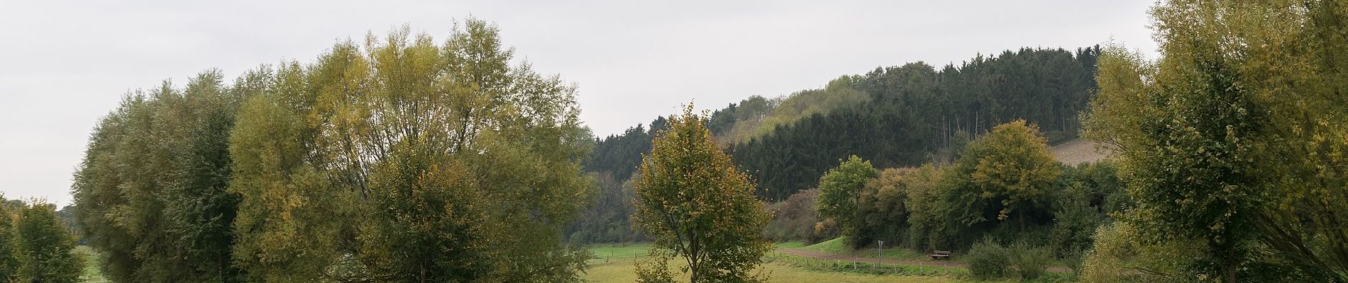 Tocht Te voet Paderborn - Paderborner Karstrundweg - Photo