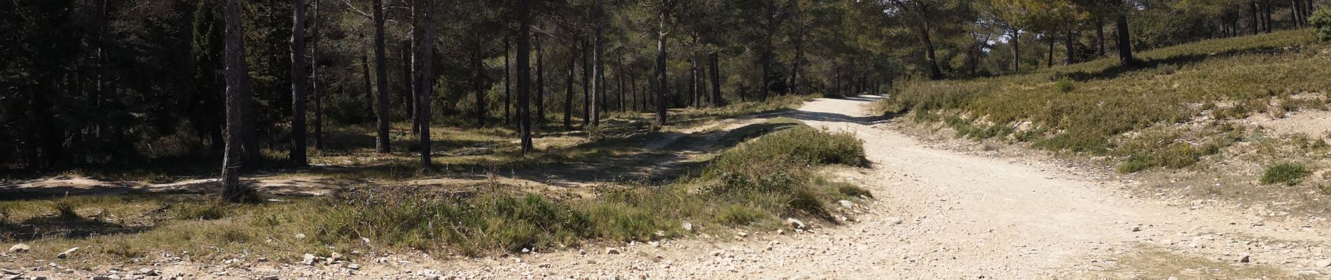 Percorso Mountainbike Saint-Étienne-du-Grès - [PAT] Mini Rando VTT - Photo