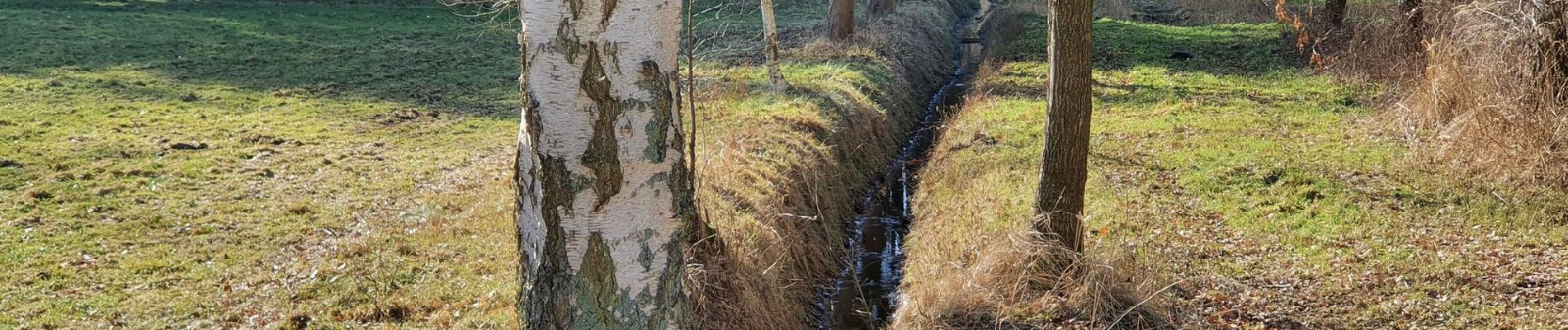 Trail On foot Scheeßel - Nordpfad 'Wümme und Vareler Heide' - Photo