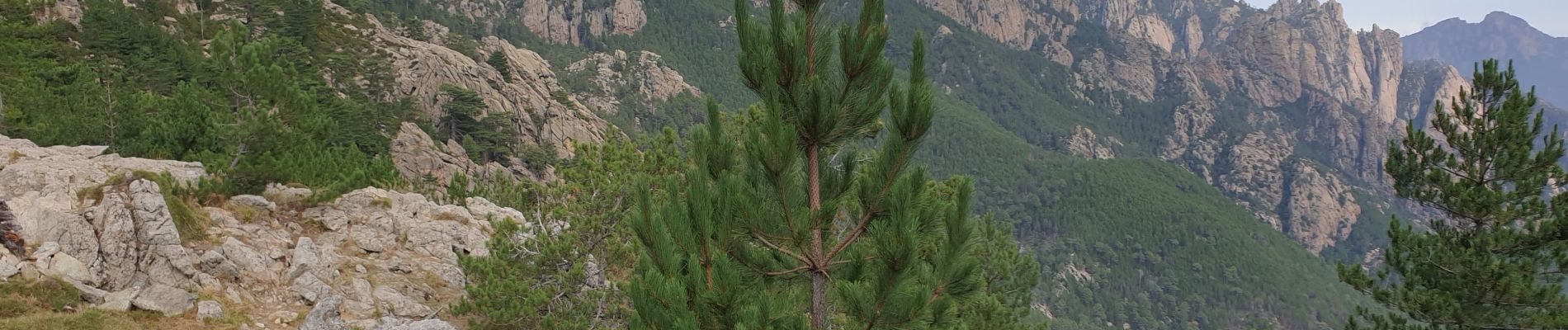 Excursión Senderismo Quenza - les aiguilles de Bavella - Photo