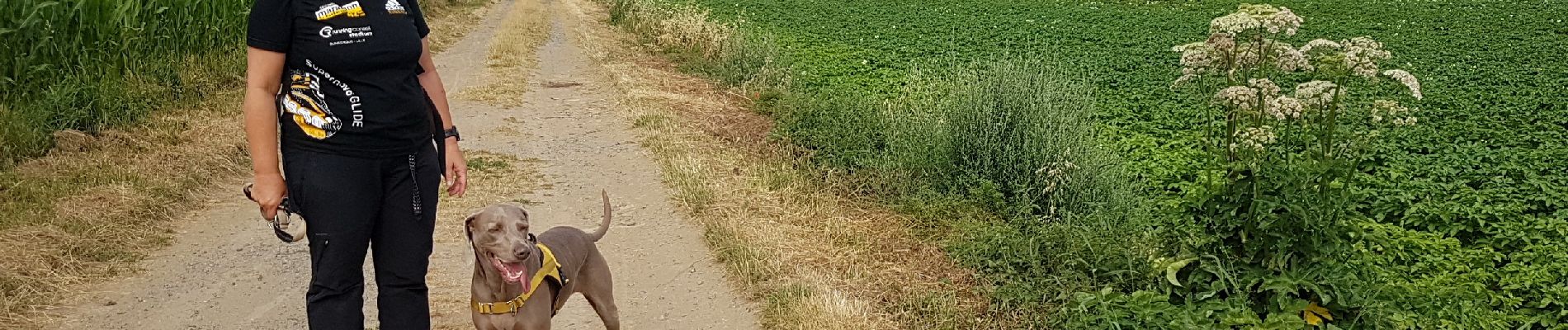 Tour Wandern Bry - 2019-07-19 boucle a Bry 10 km - Photo