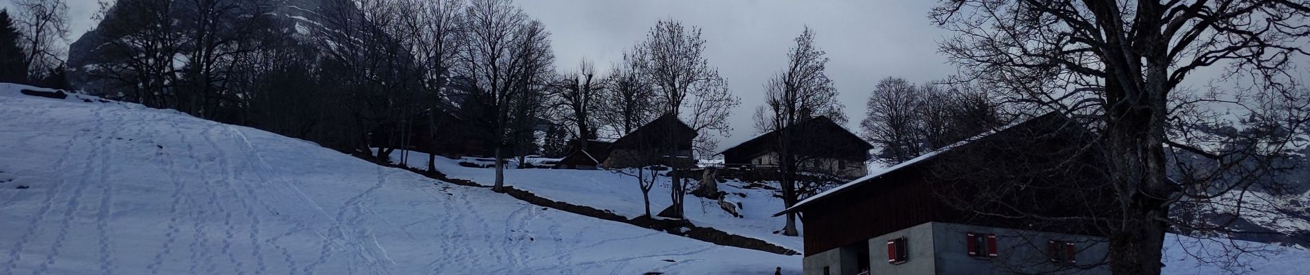 Percorso Racchette da neve Sallanches - autour de Mayeres - Photo