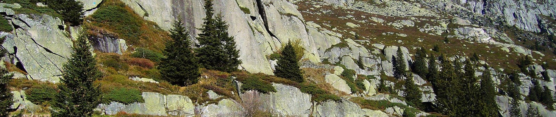 Percorso A piedi Göschenen - Göscheneralp-Bergsee - Photo