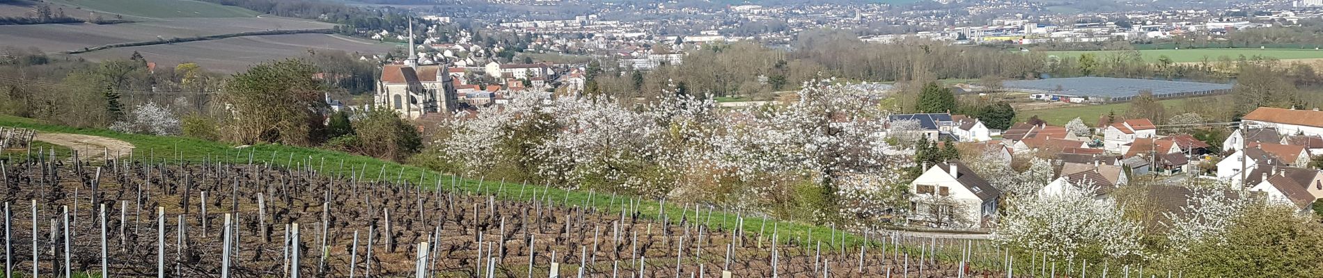 Tocht Stappen Château-Thierry - D'une rive à l'autre par Azy - Photo