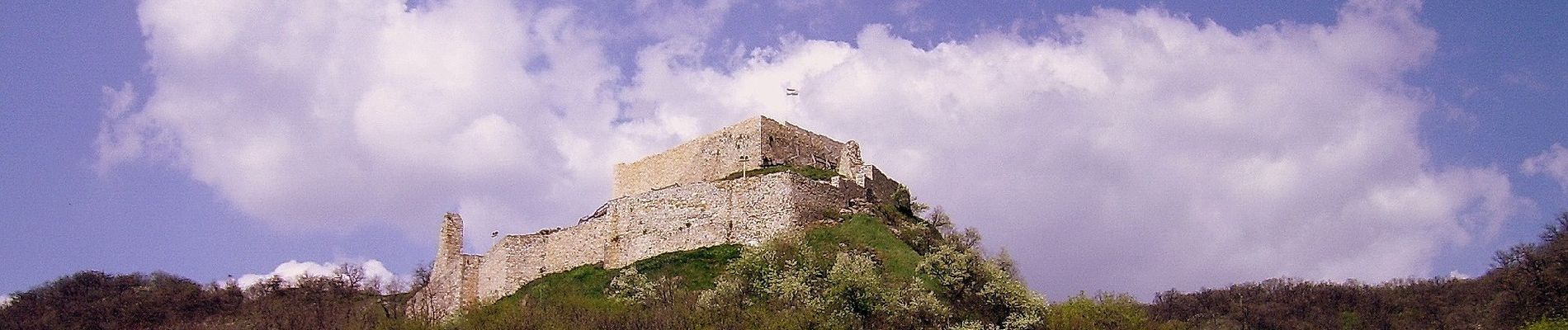 Tour Zu Fuß Csókakő - PL (Mór - Csókakő) - Photo