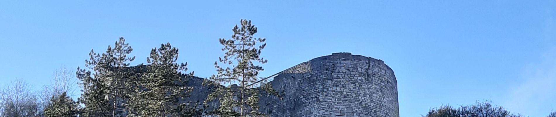 Tour Wandern Dinant - Ruines de Crèvecoeur  - Photo