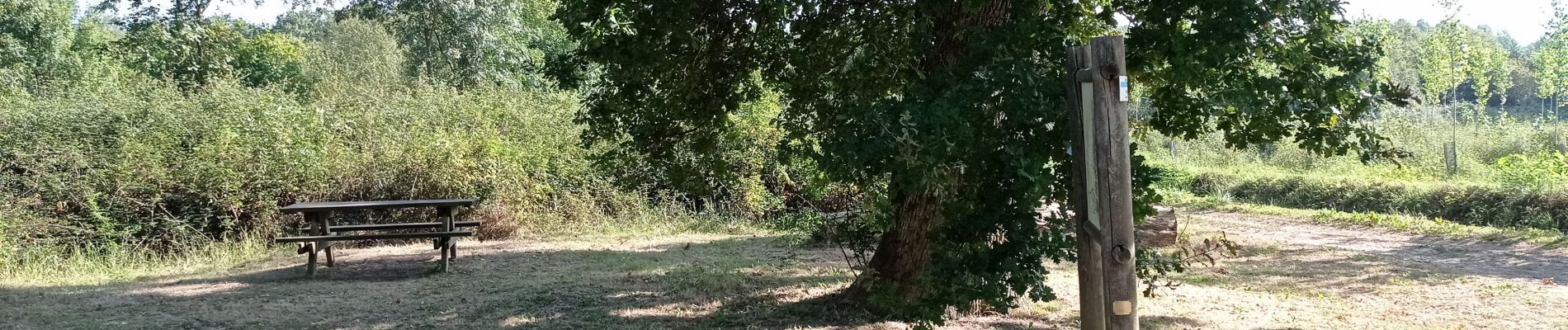 Randonnée Marche Pontonx-sur-l'Adour - Randonnée flore - Photo