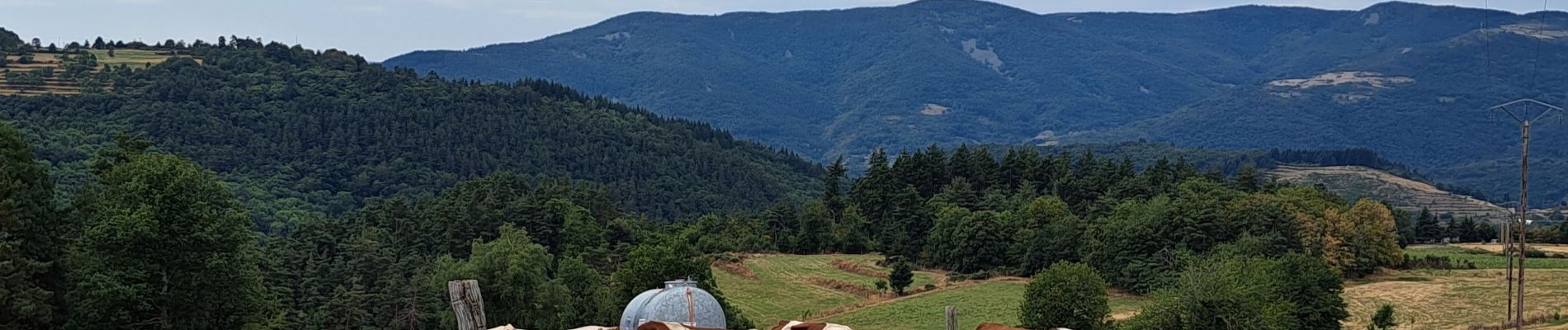 Tocht Stappen Belsentes - Autour de la Chazalet  - Photo