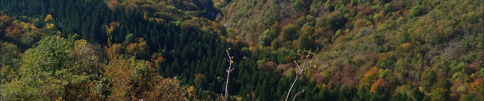 Tour Wandern Vescles - autour du pic d'oliferne  - Photo