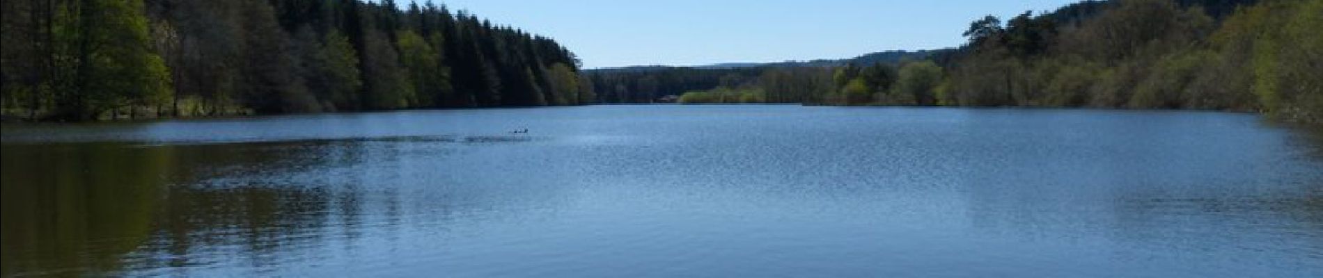 Tour Wandern Marsac-en-Livradois - Étang de Riols  - Photo