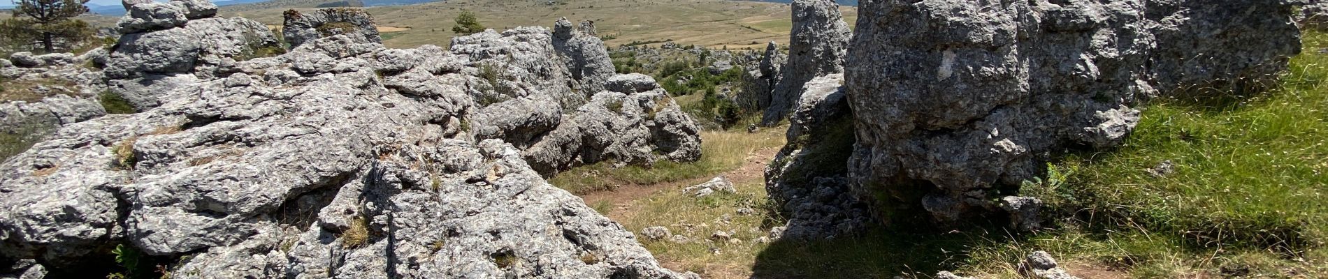 Trail Walking Fraissinet-de-Fourques - Nime le Vieux 10 km - Photo