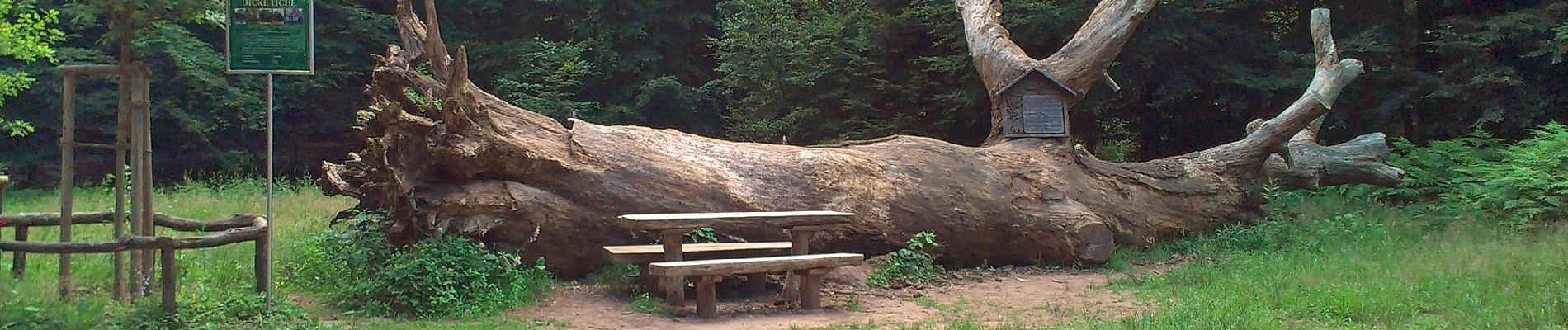 Tour Zu Fuß Erfweiler - Rundwanderweg Erfweiler 58 - Photo