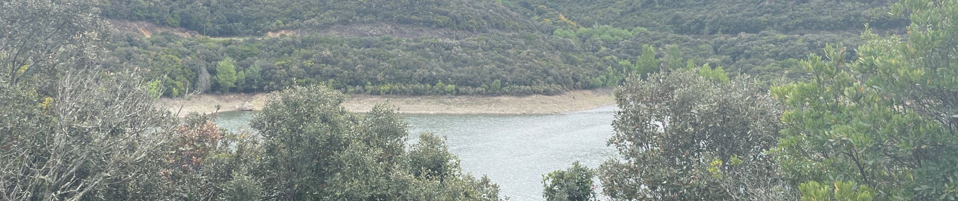 Excursión Senderismo Vailhan - Le barrage des olivettes - Photo