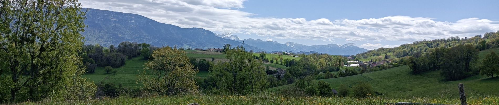 Randonnée Marche Novalaise - NOVALAISE circuit des pommiers - Photo