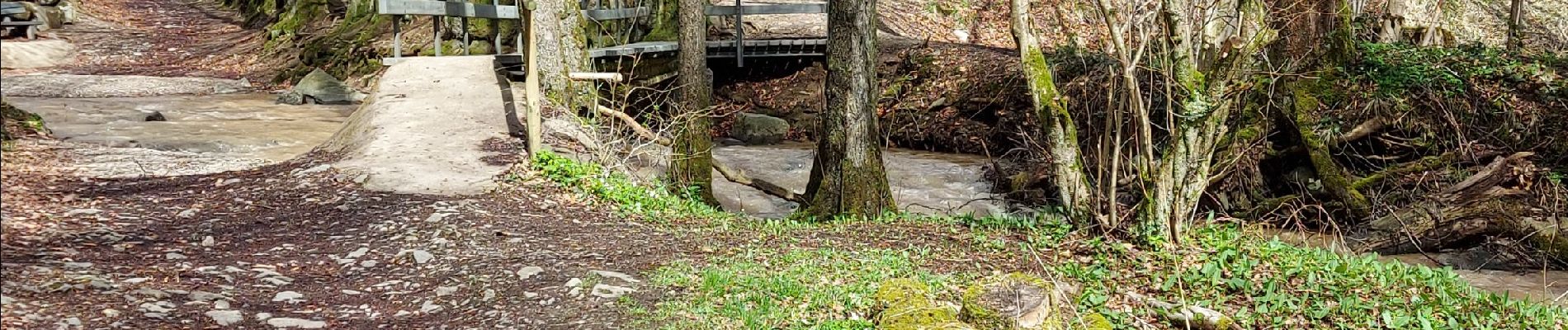 Tour Wandern Malmedy - Le tour du Ravel - Photo