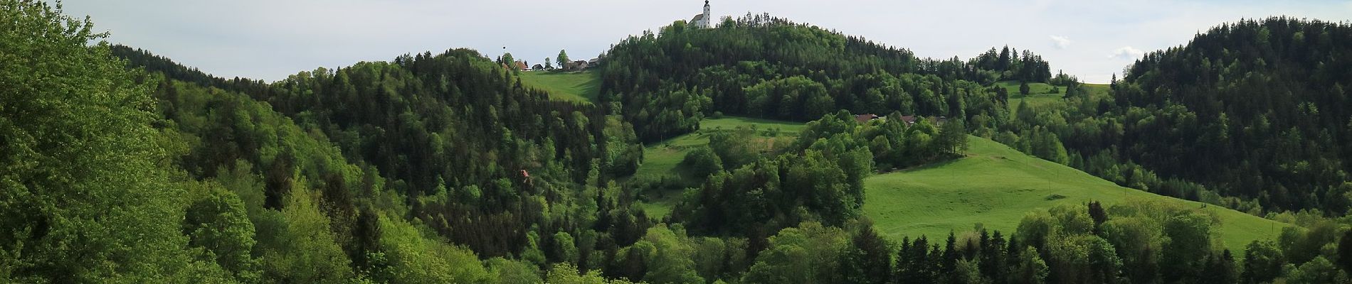 Randonnée A pied Leutschach an der Weinstraße - Kleeblattwanderweg Nr. 2 - Photo