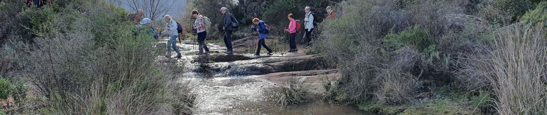 Randonnée Marche Le Cannet-des-Maures - la plaine des maures - Photo